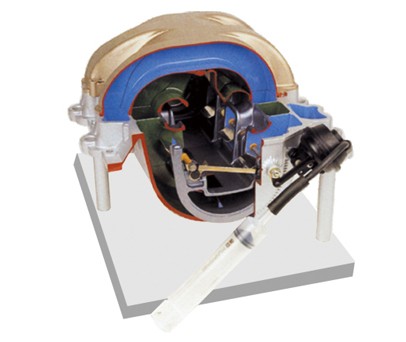 �Б��_�Pϵ�y(t��ng)����ģ��