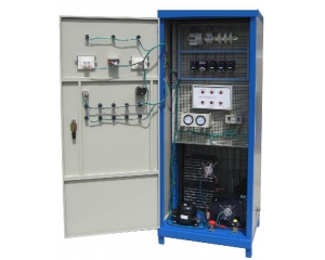 ������{(di��o)/С�����늚⼼�܌�Ӗ(x��n)�����b��