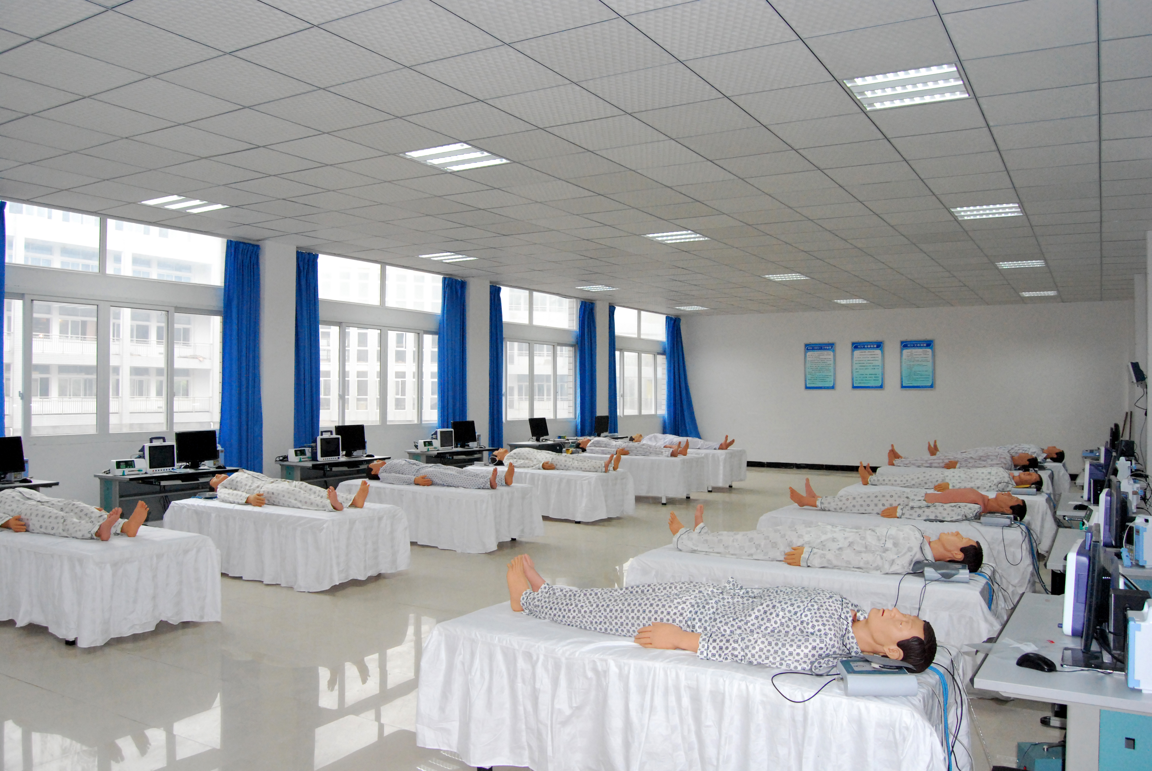 �����o�팍Ӗ(x��n)��